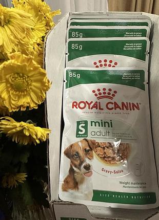Royal canin mini adult 85 г — 7 паучів, вологий корм для собак