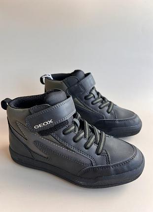 Черевики geox