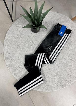 Лосини від adidas