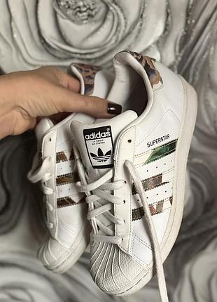 Кросівки adidas superstar