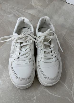 Кеди/кросівки zara