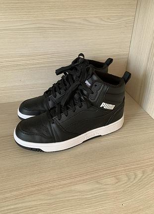 Кеди puma демі/зимa