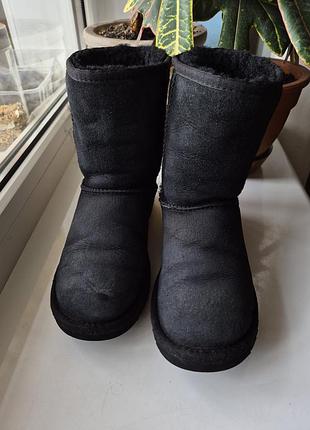Угги сапожки теплые ugg