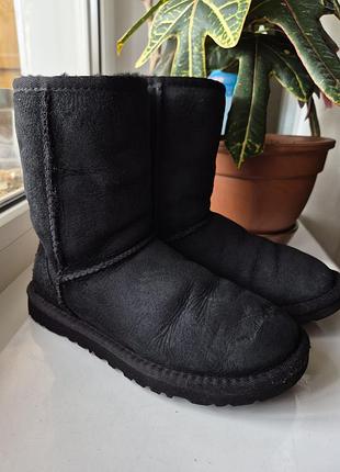 Угги сапожки теплые ugg 2