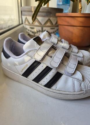 Кросівки кеди adidas superstar