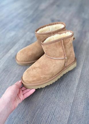 Уггі ugg замша овчина оригінал рр.36,40
