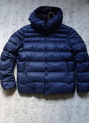 Чоловічий пуховик бренду calvin klein jeans.