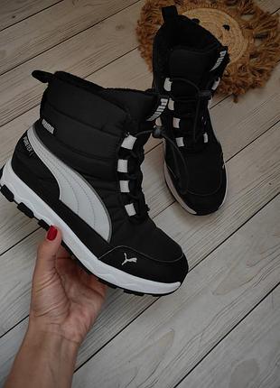 Зимние термо сапоги, снегоходы, ботинки зима puma evolve boot puretex