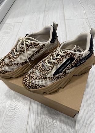 Жіночі кросівки steve madden леопардові, 39 розмір
