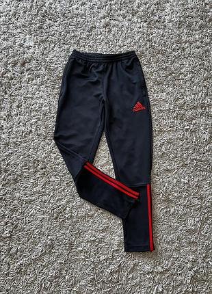 Спортивні штани adidas 146-152 розміру