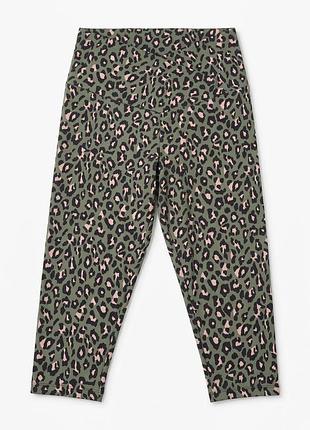 Легінси капрі жіночі dorothy perkins petite леопардові хакі