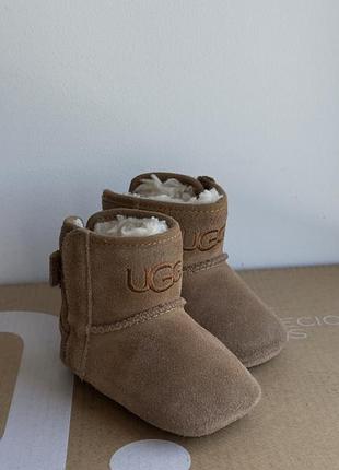 Оригінальні замшеві пінетки ugg, розмір eur 18 (11 см)