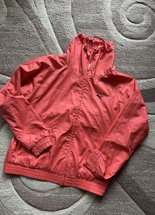 Вітровка puma 2