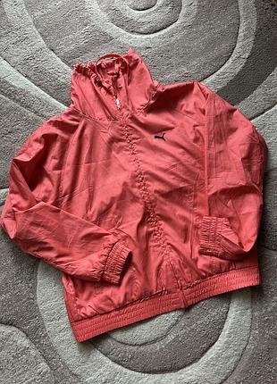 Вітровка puma