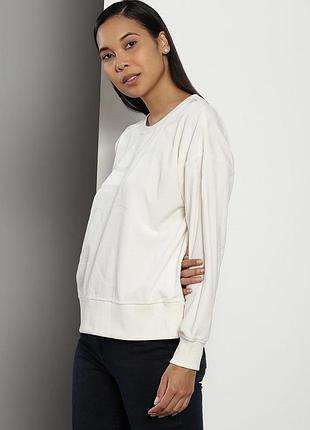 Велюровий світшот calvin klein 2
