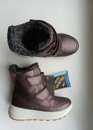 Черевики зимові ecco solice k 78083260461 zk4112 gore-tex розмір 27 оригінал