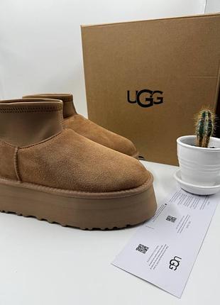 Уггі жіночі ugg classic ultra mini platform коричневі