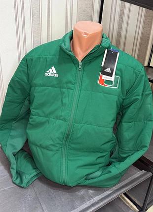 Чоловіча куртка adidas демісезонна зелена