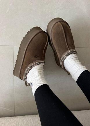 Угги ugg tazz hickory brown / smb+ 🔗