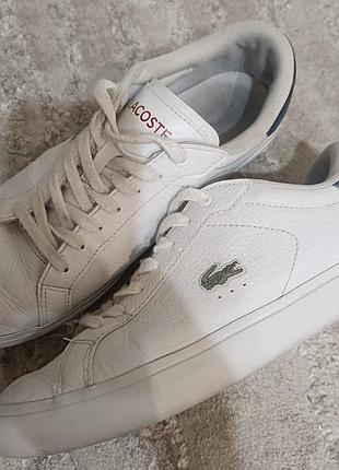 Кожаные кеды lacoste powercourt 0721 2 sma (оригинал)