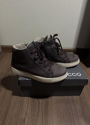 Черевики ecco 4