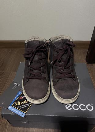 Черевики ecco 8