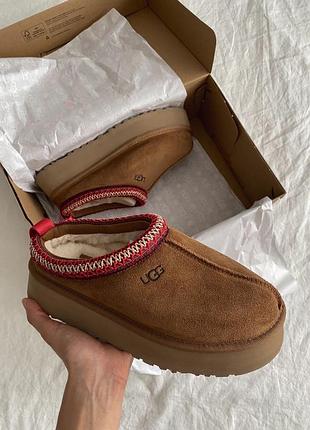 Уггі жіночі ugg tazz tasman коричневі