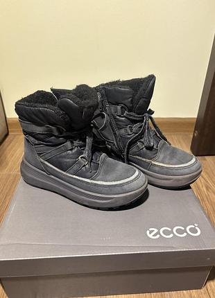 Черевики ecco 10