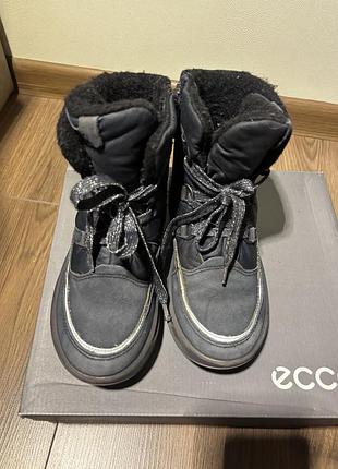 Черевики ecco 6