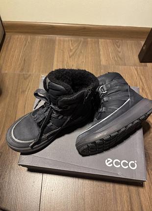 Черевики ecco 2