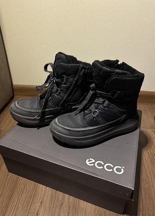 Черевики ecco