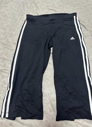 Бриджі adidas