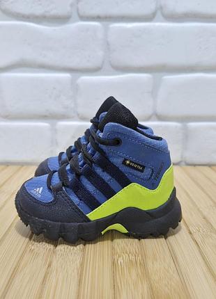 Кросівки adidas terrex