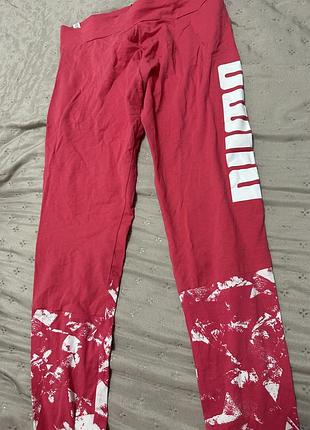 Лосіни puma