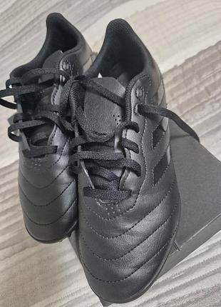 Сороконіжки adidas