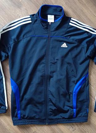 Брендова спортивна кофта на замку adidas.