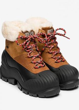 Жіночі зимові черевики ugg adiroam у фірмовому забарвленні chestnut (каштановий/коричневий з чорним).розмір:38(24см)
