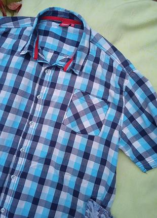 Тоненькая брендовая тениска в клетку,2xl-3xl,d555.