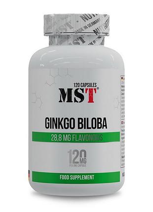 Гинкго билоба 120 мг для памяти, мозга, женщин и мужчин mst ginkgo biloba 120 mg 120 капсул