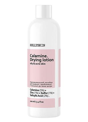 Подсушочный лосьон для жирной, проблемной и склонной к акне кожи hollyskin calamine drying lotion, 100 мл (4820200411163)
