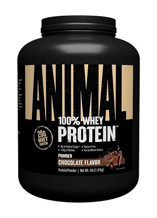 Протеин для роста мышц и похудения universal animal 100% whey protein 1,81 кг печенье-крем