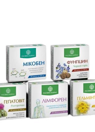 Детокс очисна програма з фітокомпонентів для очищення організму рослина карпат лімфорен гельмінтозин фунгіцин мікобен гепатовіт