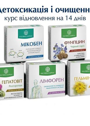 Детоксикація і очищення лімфи від набряків відновлення організму виведення токсинів сорбент рослина карпат програма