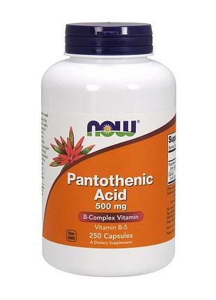 Пантотеновая кислота (b5) 500 мг для волос и кожи now pantothenic acid 500 mg 250 капсул