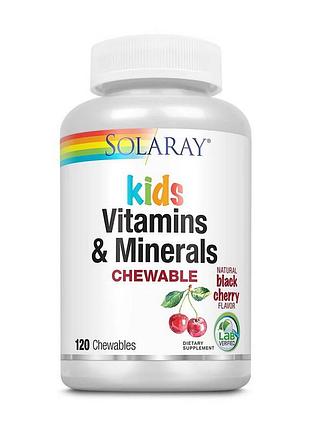 Витамины для детей с железом и йодом для иммунитета solaray kids vitamins & minerals 120 жевательных таблеток черная вишня