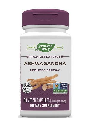 Ашваганда sensoril 250 мг для мужчин, женщин и сна и от стресса nature's way ashwagandha 60 вегетарианских капсул