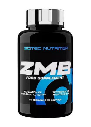 Zma цинк, магній і b6 для чоловіків, сну, спортсменів і жінок scitec nutrition zmb6 60 капсул