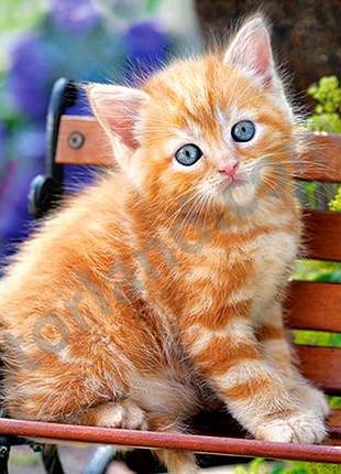 Пазл castorland рыжий котик 180 шт.23*32см (b-018178)