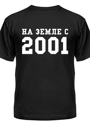 Футболка на земле с 2001, с принтом, унисекс, хлопок