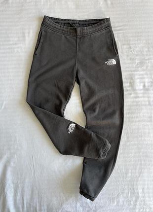 Спортивні штани джогери the north face